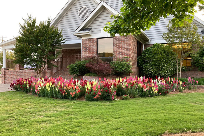 Wilson & Fiquett Family Dentistry Office